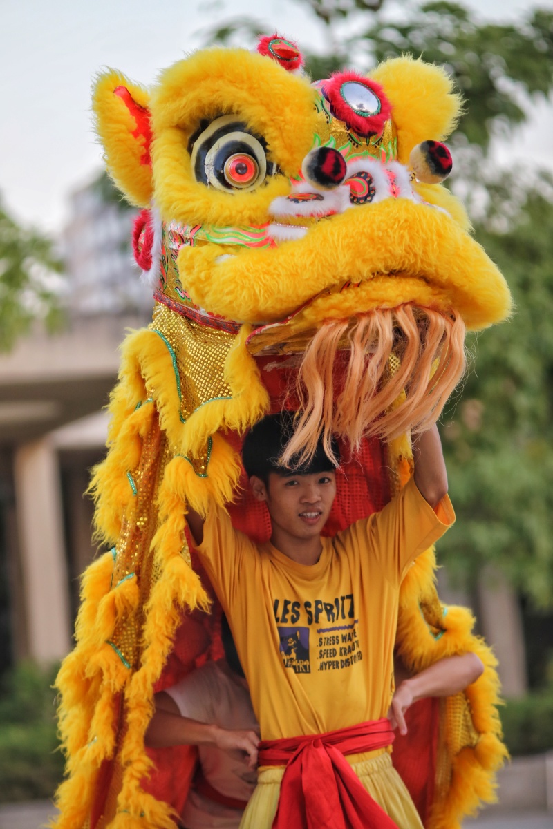 传统文化继承――醒狮