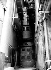 IMG_9301