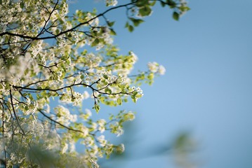 1EE3BB7C-855B-4B97-B3BA-460CA9A3E6BC/L0/001