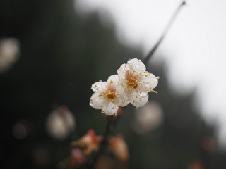 P1201354