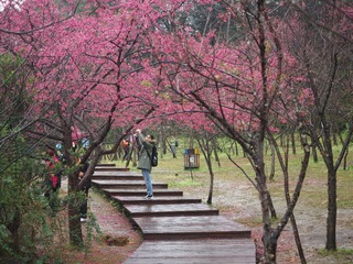 P1201391