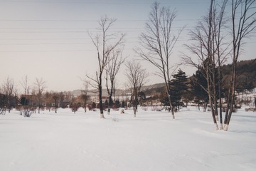 625826F0-77C2-4B74-9FD9-6BC4246FB4F1/L0/001