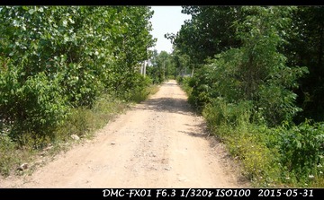 P1000051_