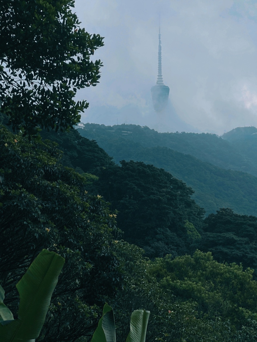 8月份台风暴雨黄色预警的深圳梧桐山风景