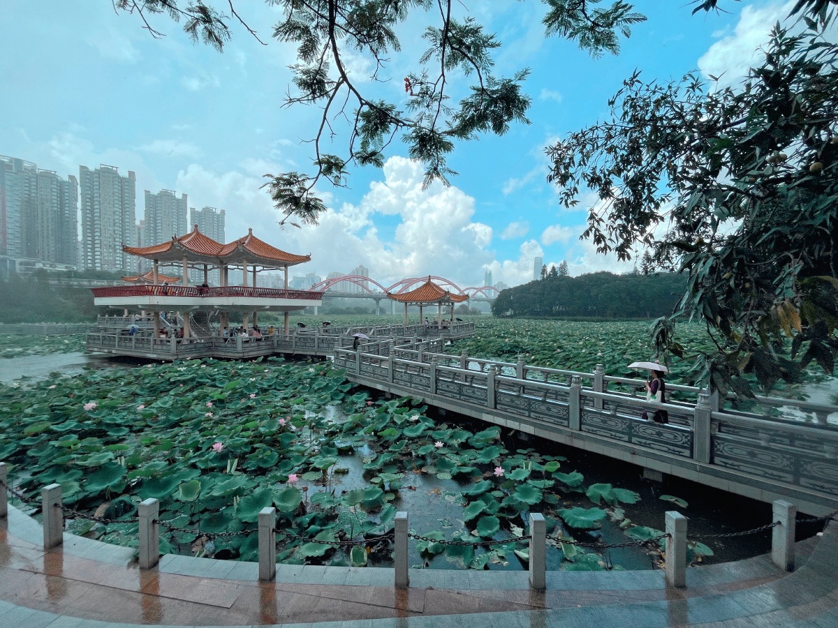 洪湖公园
