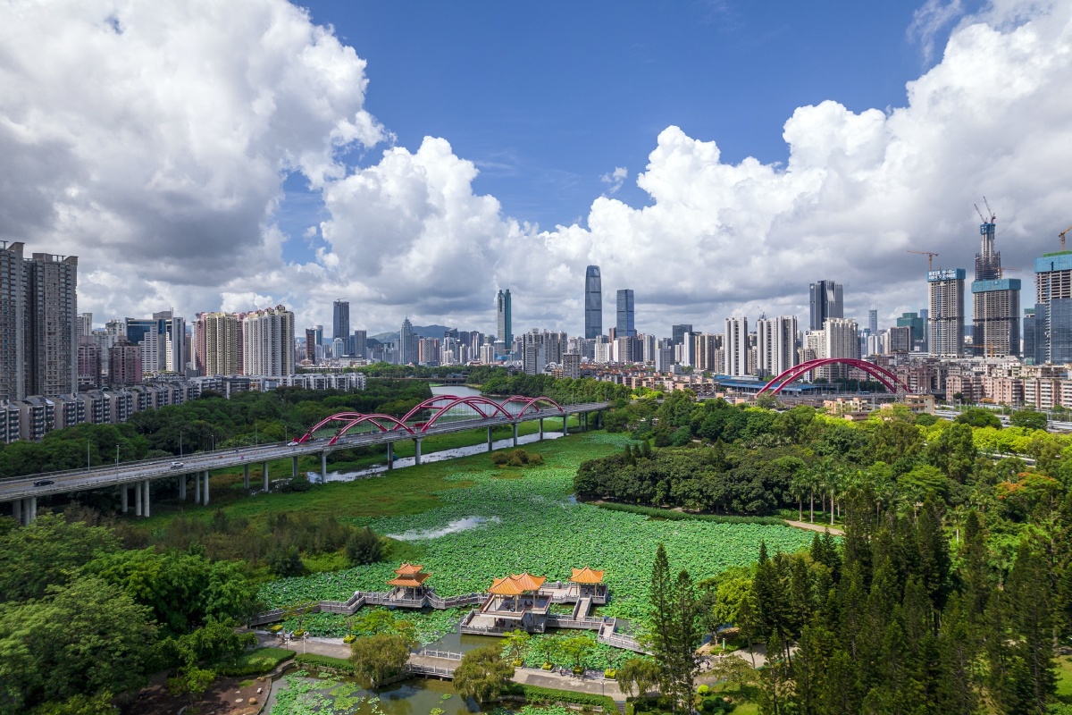 深圳洪湖公园