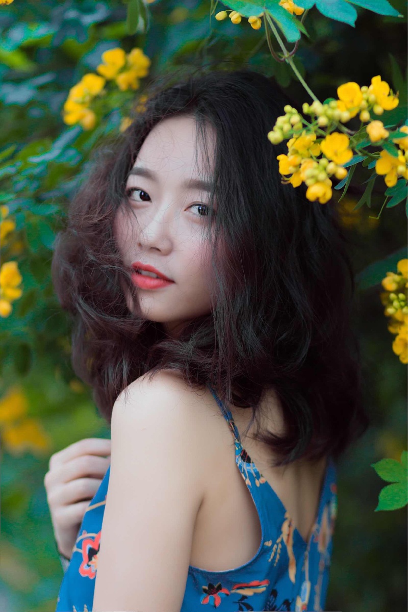 故事的小黄花,从出生那年就飘着。 童年的荡秋