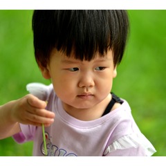 DSC_6079_wps图片