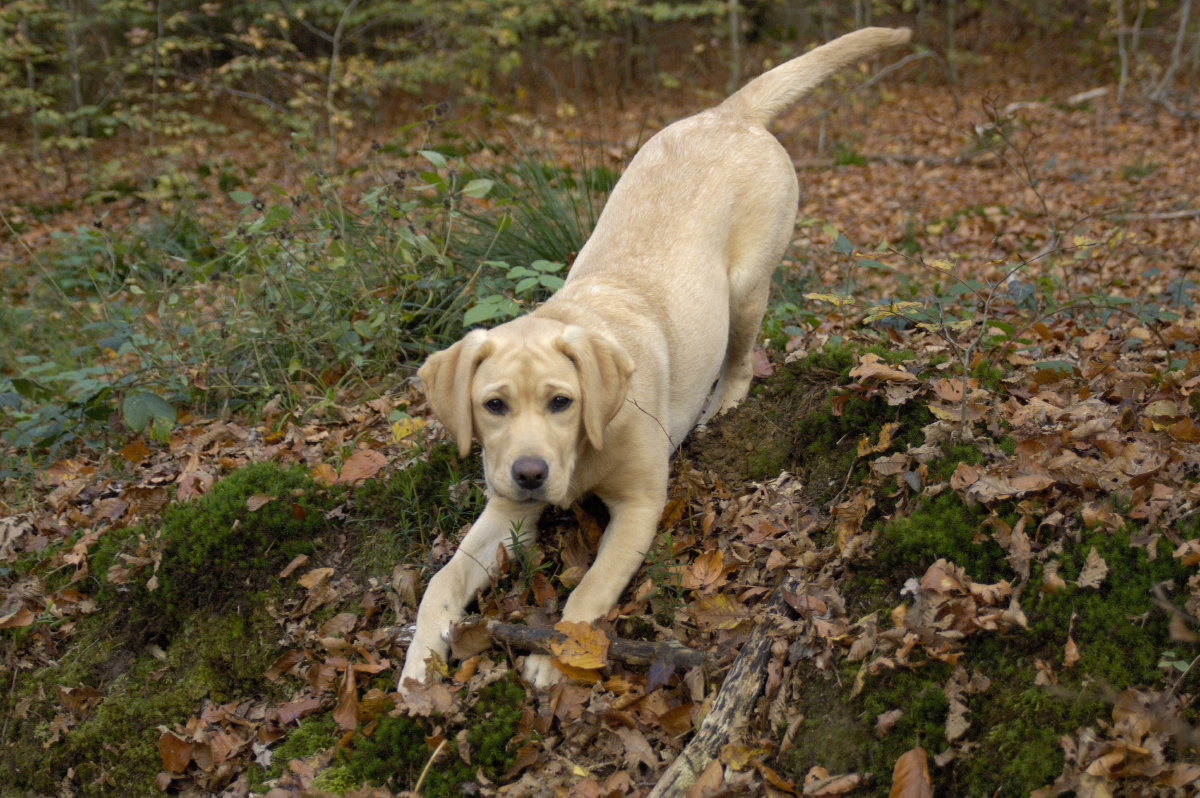 那些陈芝麻烂谷子的事儿