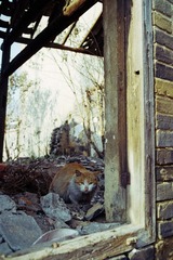 NO14.jpg