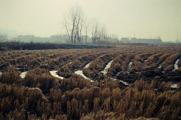 NO15.jpg