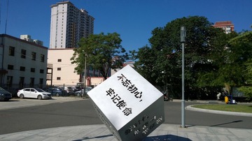 浦口 半日影像 展示自己种菜的老人
