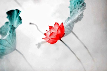001