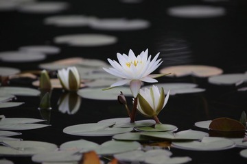 001