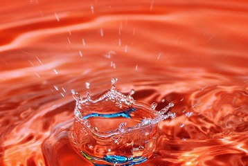 _DSC7973