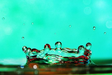 _DSC8758