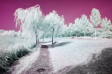 _DSC6805