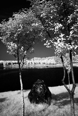 _DSC6810