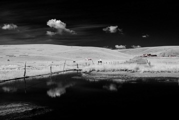 _DSC8048