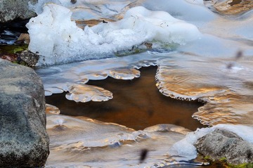 _DSC5794