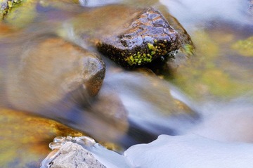 _DSC5951