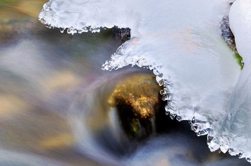 _DSC5953