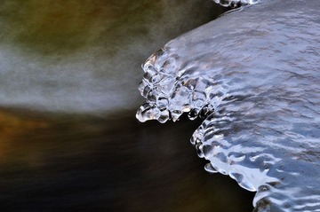 _DSC5954