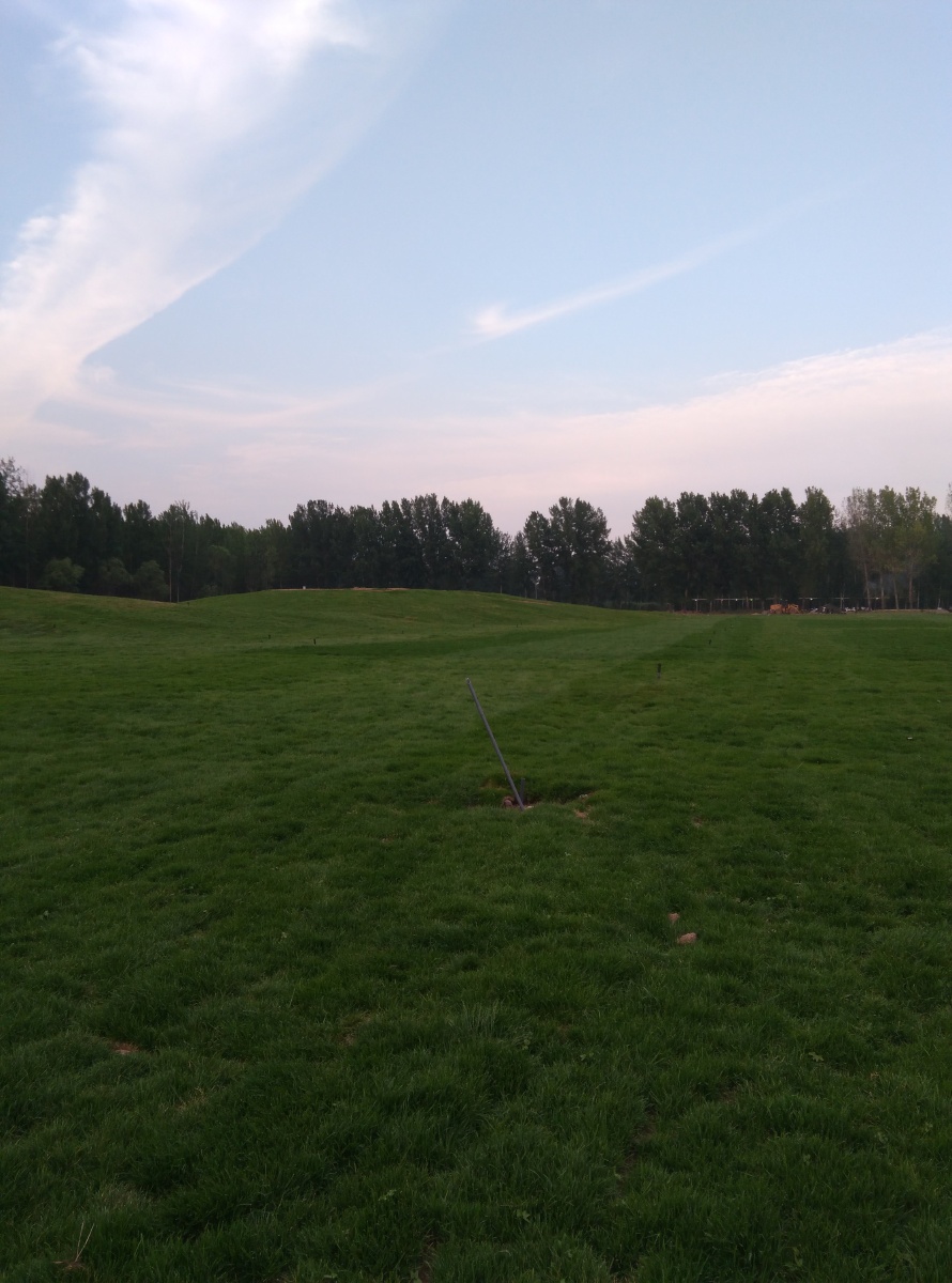 一望无际的草坪