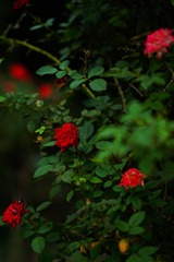 0B081EF5-82D0-42E1-BC44-BA780601D267/L0/001