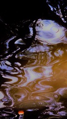 画意摄影(3)百态图
