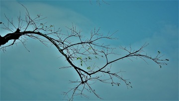 横空