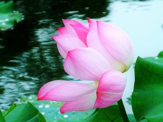 DSCF0114_看图王_看图王