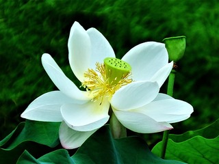 DSCF0163_看图王_看图王