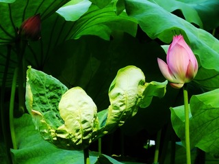 DSCF1344_看图王_看图王