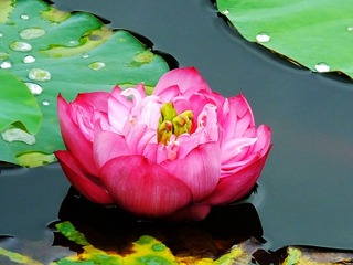 DSCF3198_看图王