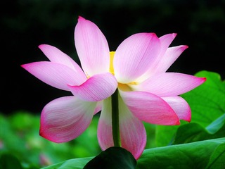 DSCF3748_看图王