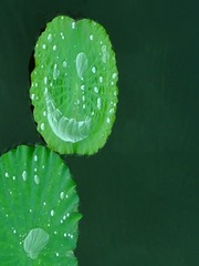 DSCF8873_看图王