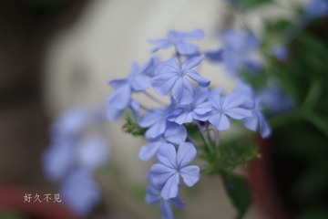 IMGP1880__