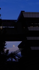 2323D60A-5DF8-4554-9376-AC245DACEAD1/L0/001