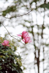 9E3D176D-B8FD-48C3-81B5-1BBBBE6852EC/L0/001