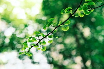798B7B47-732B-4D1E-9CA9-215C45B897F0/L0/001