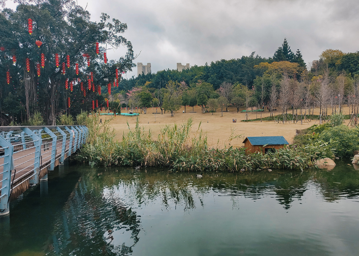 福州牛岗山公园冬日随拍