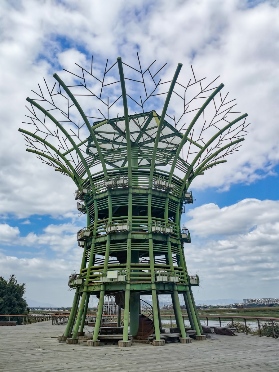 塔礁洲湿地公园随拍 - press_play - 图虫