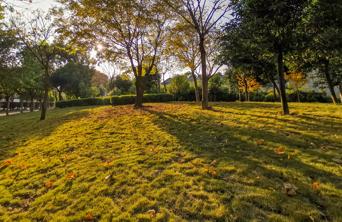 昙石山遗址公园随拍