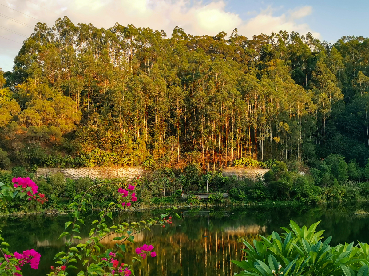 福州福山郊野公园随拍
