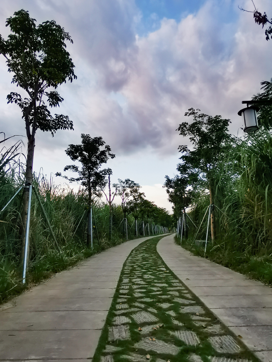 福州乌龙江湿地公园的黄昏 - press_play - 图虫