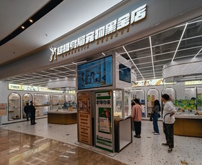 苏宁04