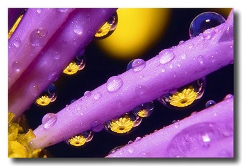 水珠奇幻表演