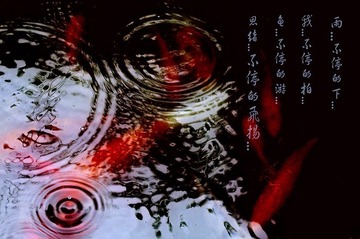 雨·鱼