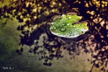 萍水相逢